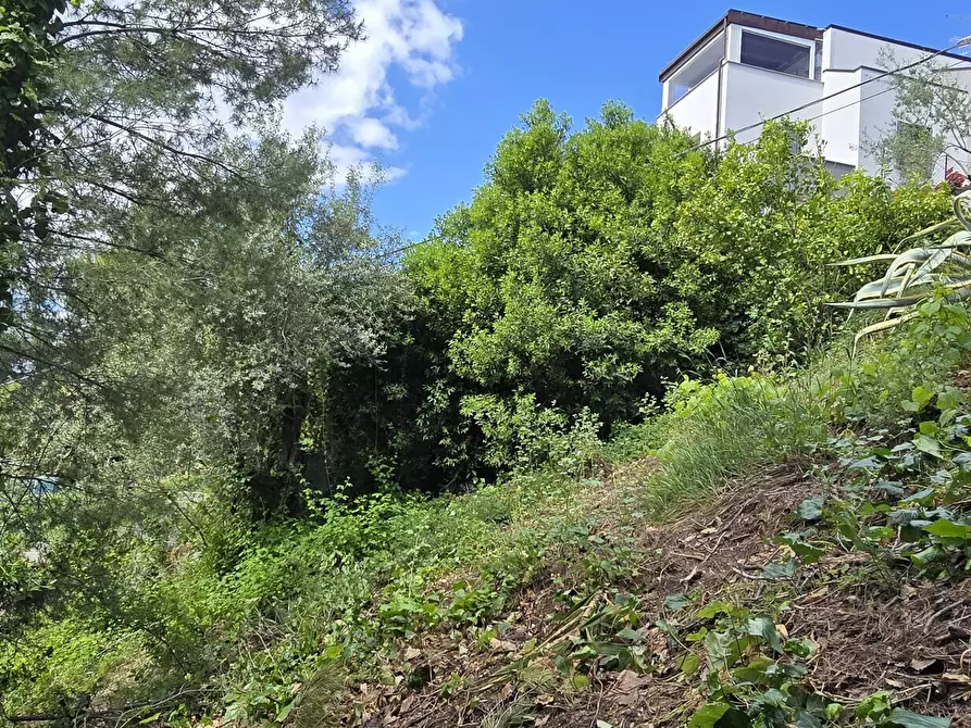 Immagine 8 di Terreno residenziale in vendita  in Strada Vicinale Agostinone a Montesilvano