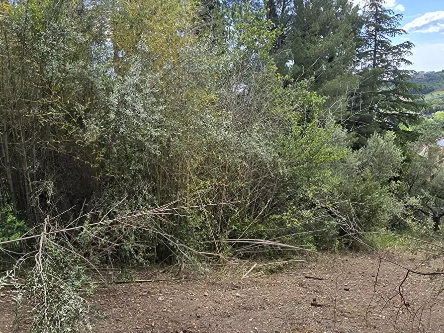 Immagine 11 di Terreno residenziale in vendita  in Strada Vicinale Agostinone a Montesilvano