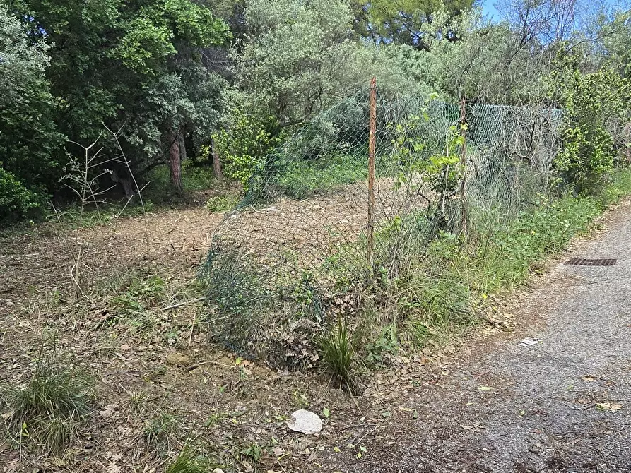 Immagine 19 di Terreno residenziale in vendita  in Strada Vicinale Agostinone a Montesilvano