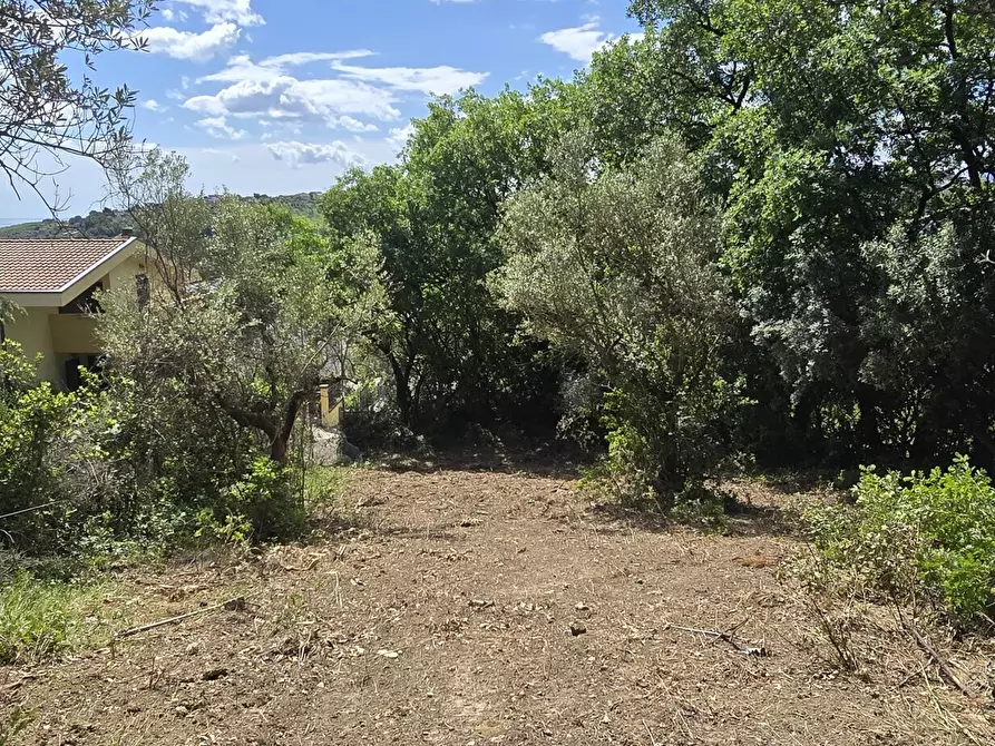 Immagine 16 di Terreno residenziale in vendita  in Strada Vicinale Agostinone a Montesilvano