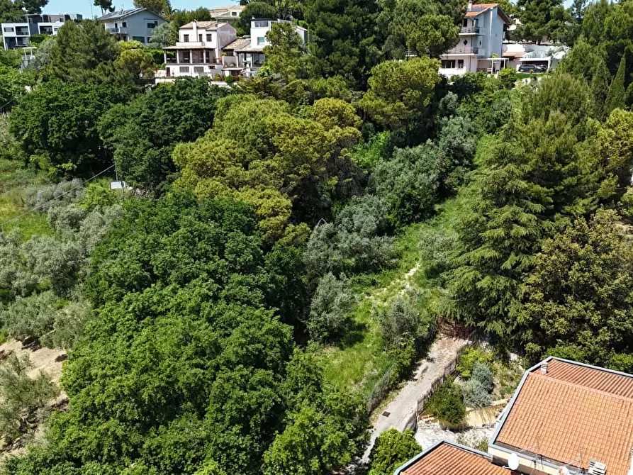 Immagine 4 di Terreno residenziale in vendita  in Strada Vicinale Agostinone a Montesilvano