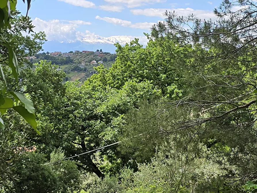 Immagine 7 di Terreno residenziale in vendita  in Strada Vicinale Agostinone a Montesilvano