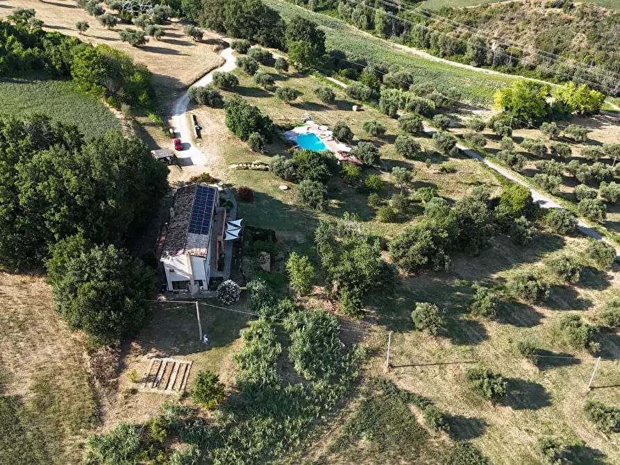 Immagine 46 di Villa in vendita  in contrada Cignale 3 a Penne