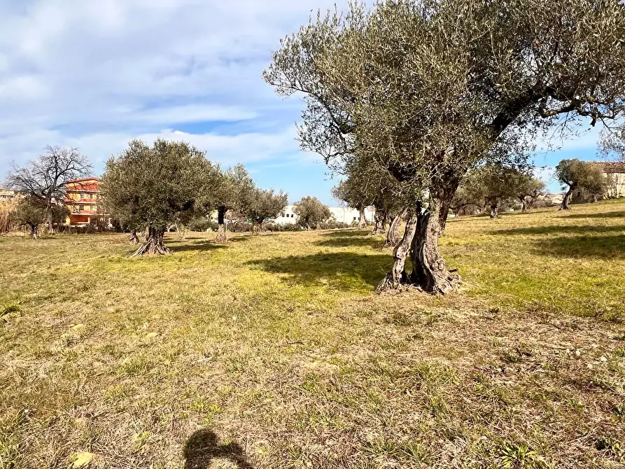Immagine 12 di Terreno residenziale in vendita  in Contrada Colle Vento a Montesilvano