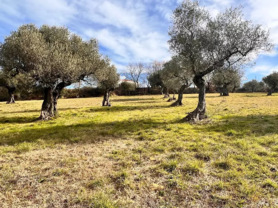 Immagine 11 di Terreno residenziale in vendita  in Contrada Colle Vento a Montesilvano