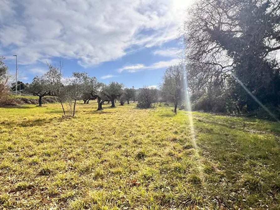 Immagine 15 di Terreno residenziale in vendita  in Contrada Colle Vento a Montesilvano