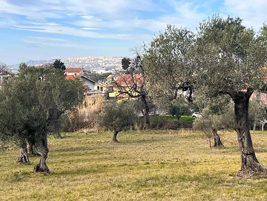 Immagine 9 di Terreno residenziale in vendita  in Contrada Colle Vento a Montesilvano