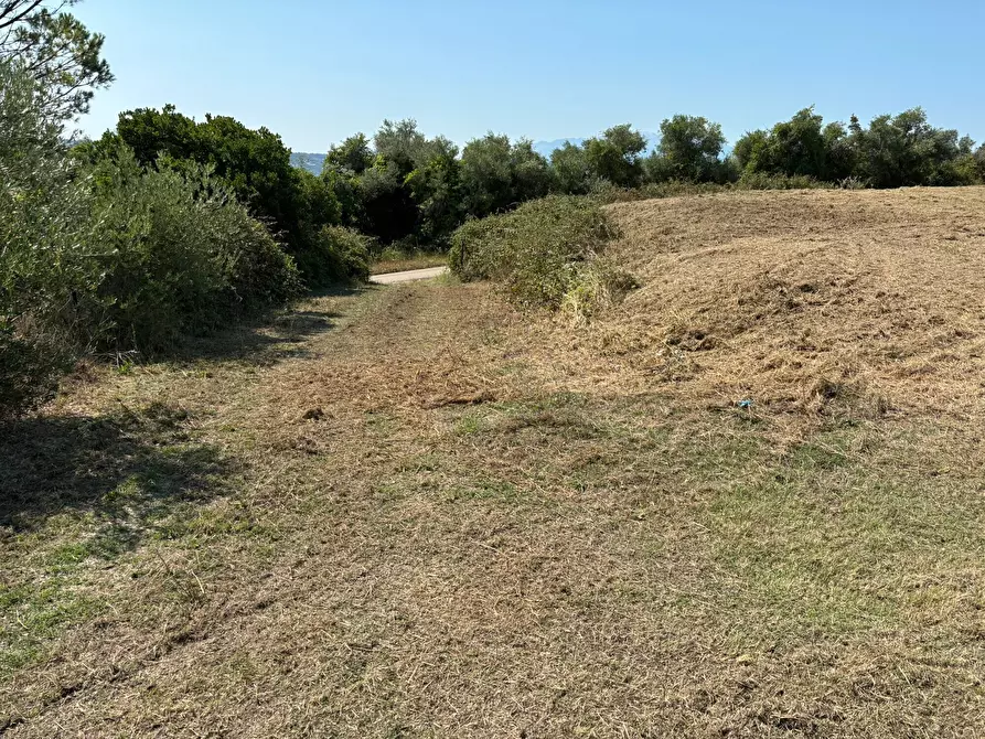 Immagine 4 di Terreno residenziale in vendita  in Via Valle Carbone a Brittoli