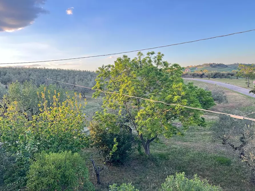 Immagine 40 di Villa in vendita  in Contrada Nora 2 a Pianella