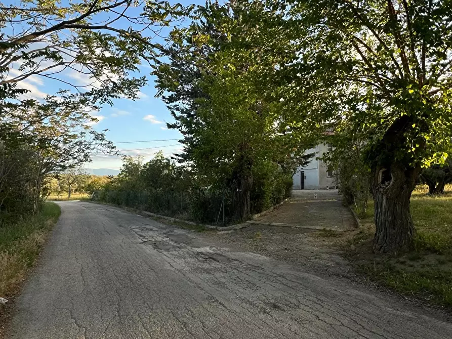 Immagine 18 di Villa in vendita  in Contrada Nora 2 a Pianella