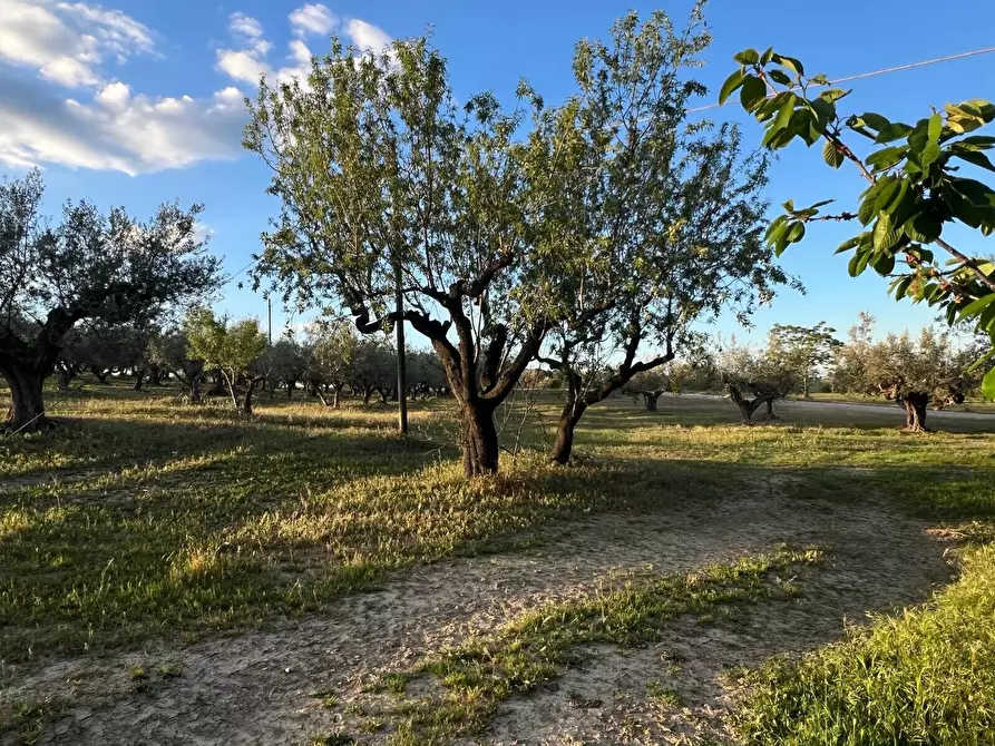 Immagine 16 di Villa in vendita  in Contrada Nora 2 a Pianella