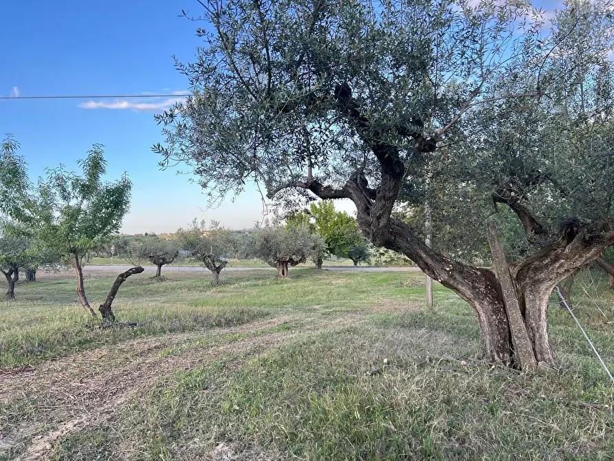 Immagine 88 di Villa in vendita  in Contrada Nora 2 a Pianella
