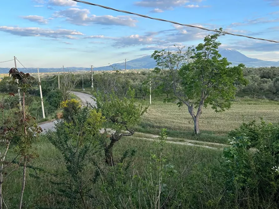 Immagine 24 di Villa in vendita  in Contrada Nora 2 a Pianella