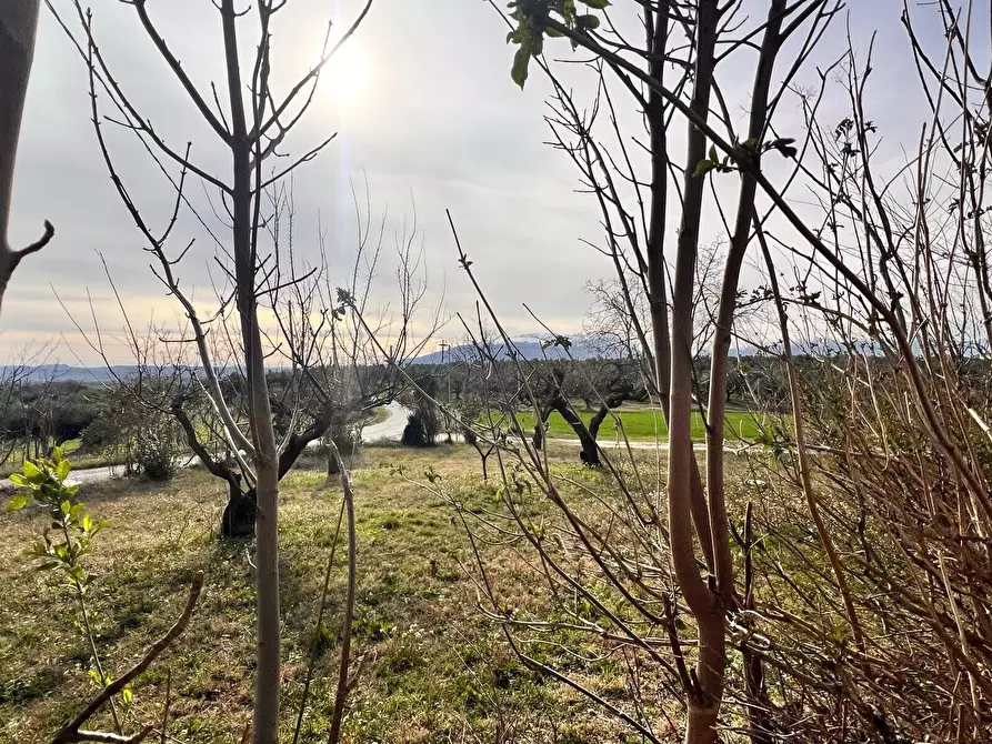 Immagine 55 di Villa in vendita  in Contrada Nora 2 a Pianella