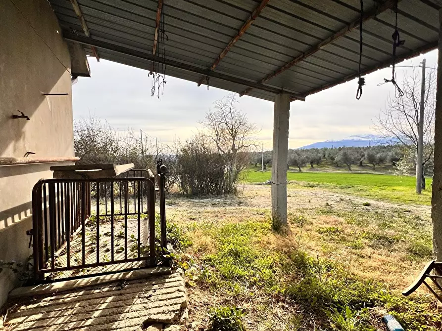 Immagine 8 di Villa in vendita  in Contrada Nora 2 a Pianella