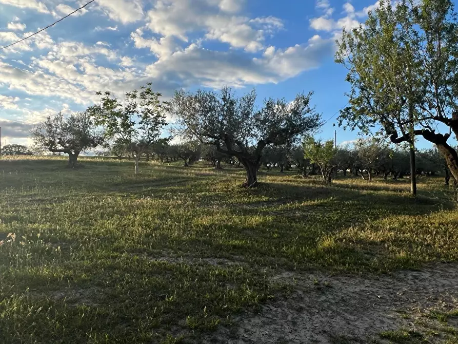 Immagine 63 di Villa in vendita  in Contrada Nora 2 a Pianella