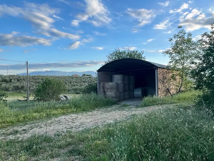 Immagine 45 di Villa in vendita  in Contrada Nora 2 a Pianella