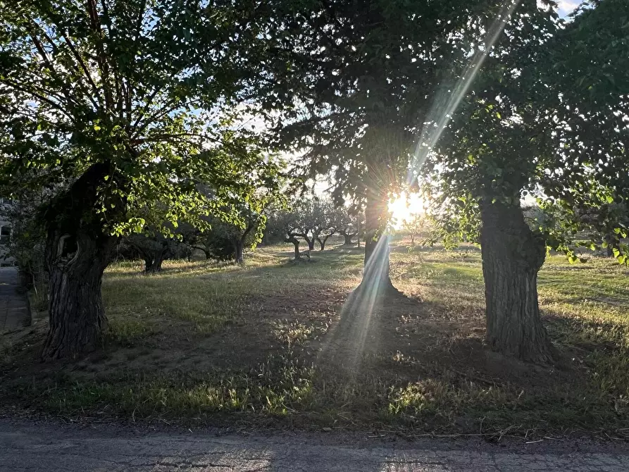Immagine 65 di Villa in vendita  in Contrada Nora 2 a Pianella