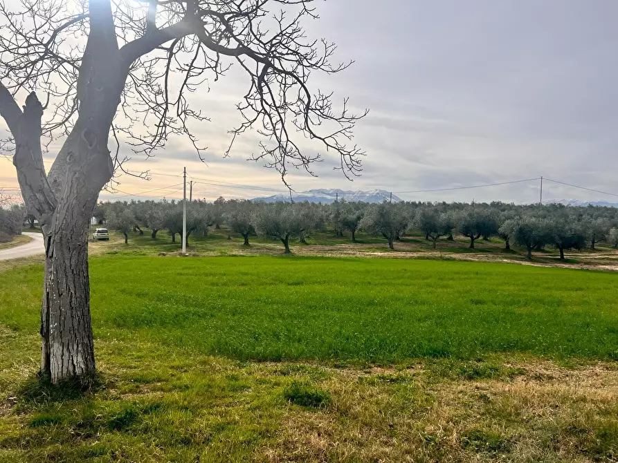 Immagine 1 di Villa in vendita  in Contrada Nora 2 a Pianella