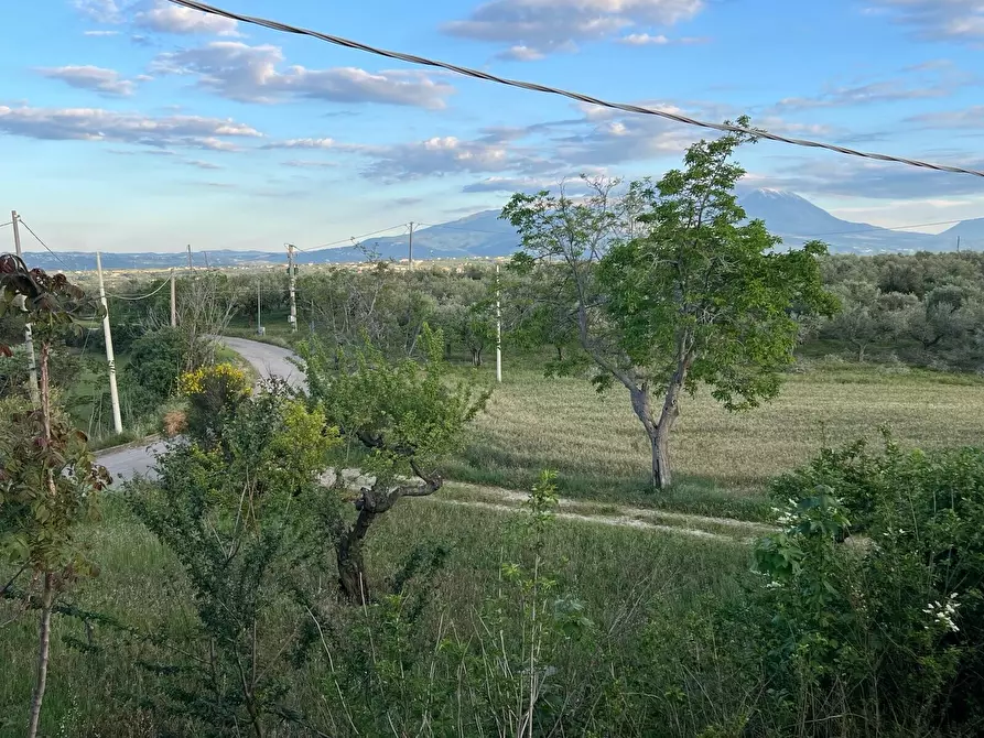 Immagine 23 di Villa in vendita  in Contrada Nora 2 a Pianella