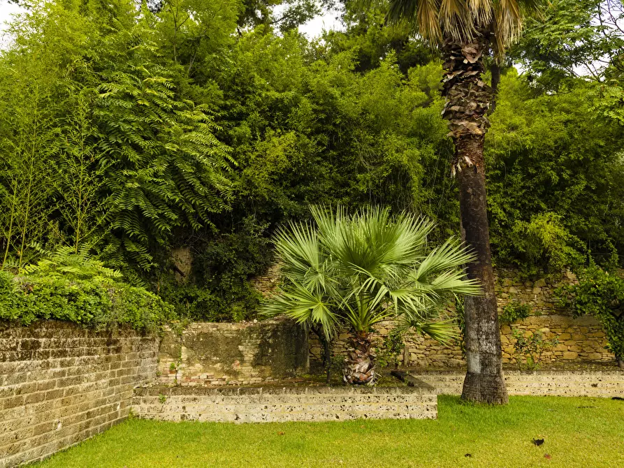 Immagine 26 di Villa in vendita  in Contrada Pretaro a Francavilla Al Mare