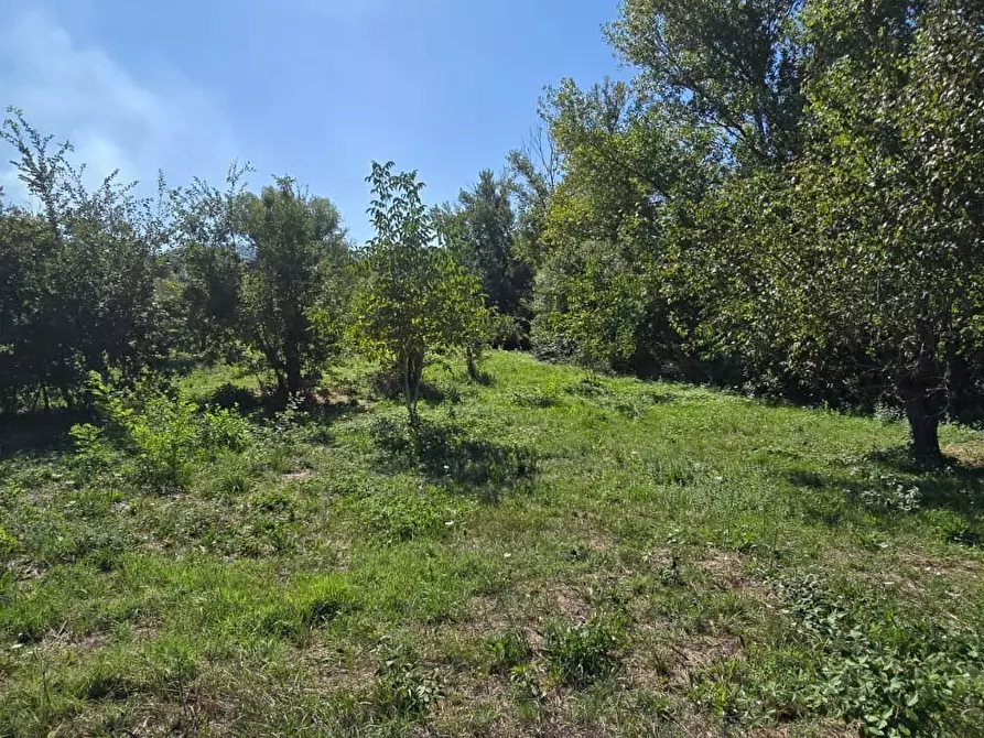 Immagine 1 di Terreno residenziale in vendita  in Via Giacomo Matteotti a Abbateggio
