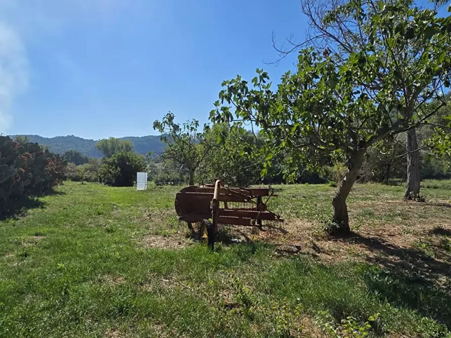Immagine 21 di Terreno residenziale in vendita  in Via Giacomo Matteotti a Abbateggio