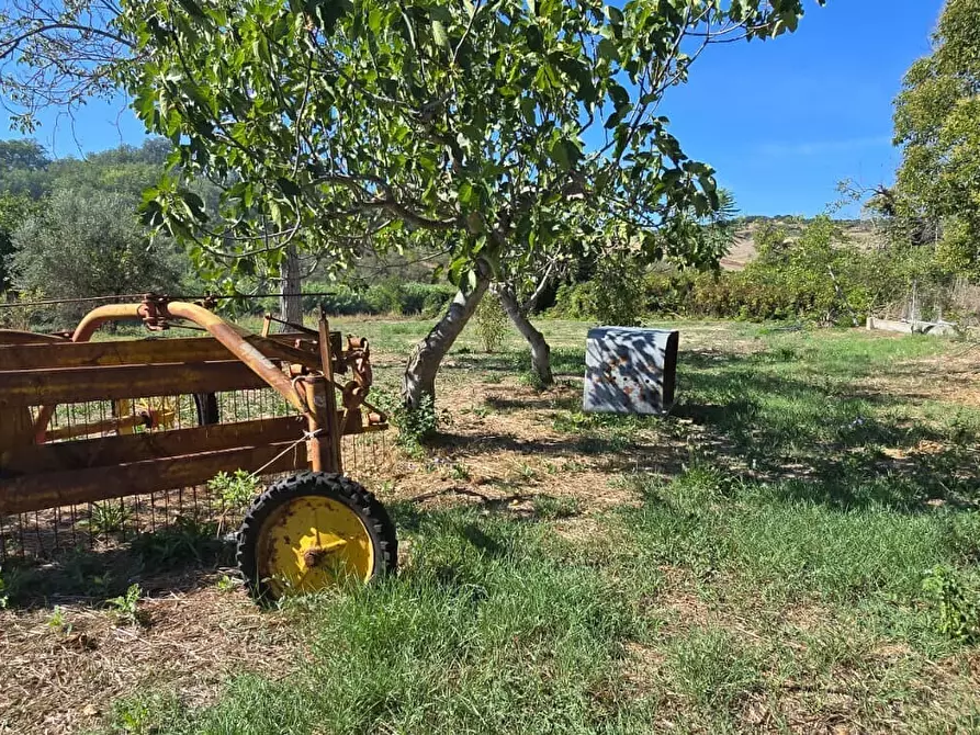 Immagine 12 di Terreno residenziale in vendita  in Via Giacomo Matteotti a Abbateggio