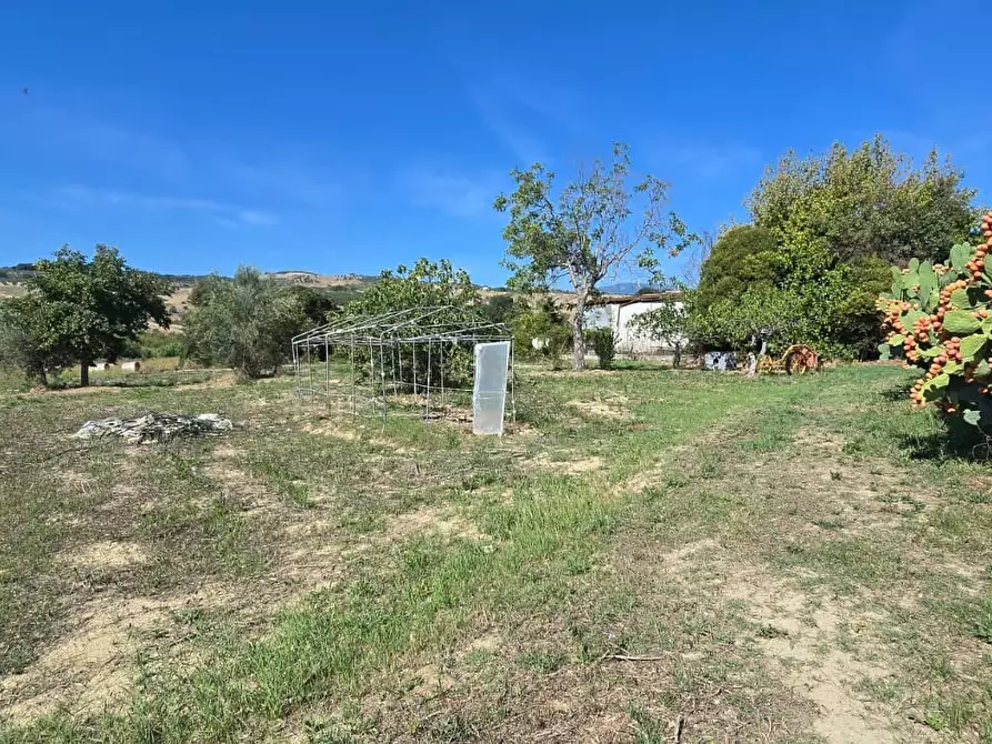 Immagine 14 di Terreno residenziale in vendita  in Via Giacomo Matteotti a Abbateggio