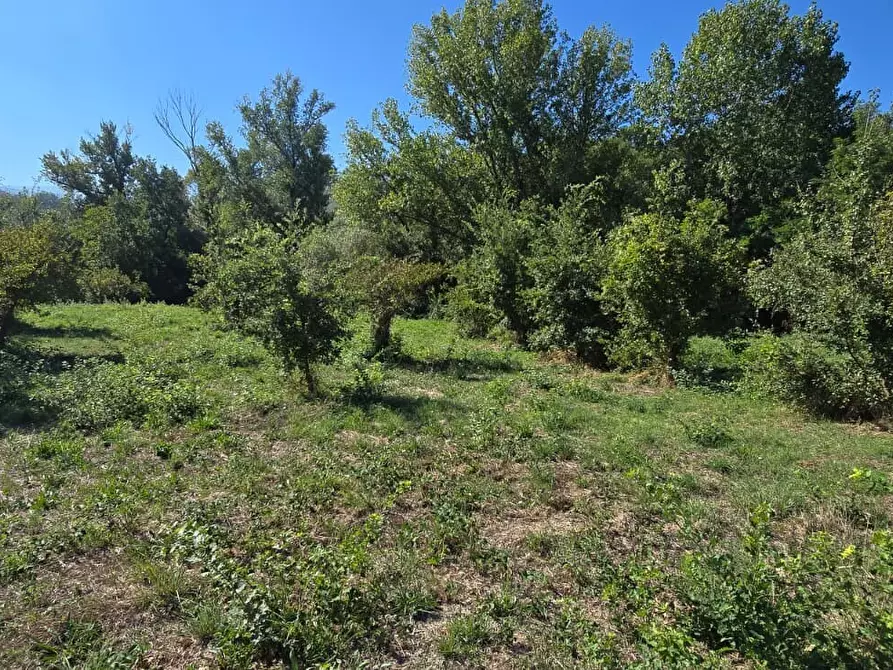 Immagine 22 di Terreno residenziale in vendita  in Via Giacomo Matteotti a Abbateggio