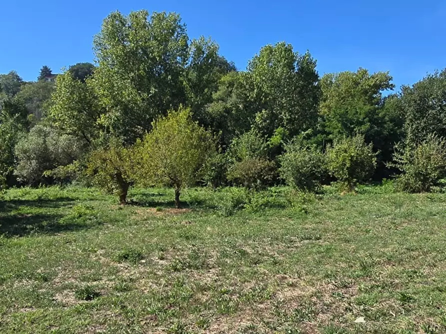Immagine 20 di Terreno residenziale in vendita  in Via Giacomo Matteotti a Abbateggio