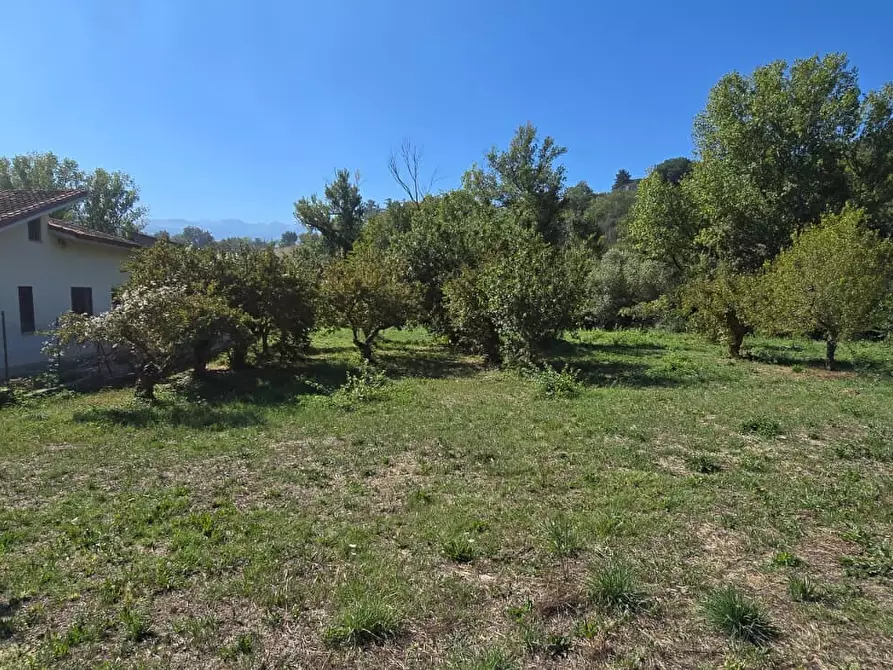 Immagine 8 di Terreno residenziale in vendita  in Via Giacomo Matteotti a Abbateggio