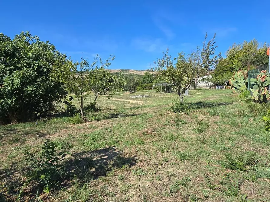 Immagine 16 di Terreno residenziale in vendita  in Via Giacomo Matteotti a Abbateggio