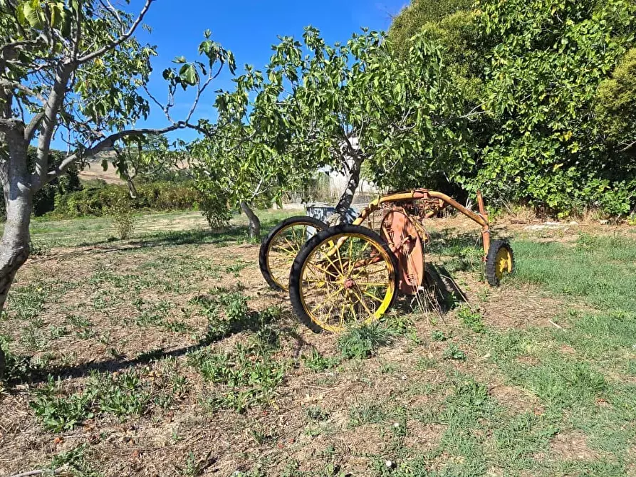 Immagine 13 di Terreno residenziale in vendita  in Via Giacomo Matteotti a Abbateggio
