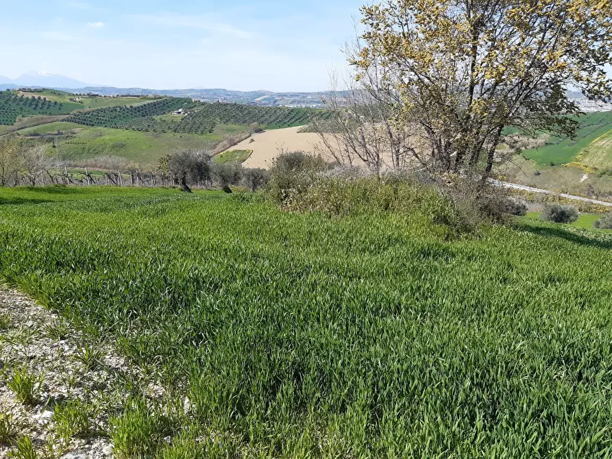 Immagine 12 di Villa in vendita  in contrada reille a Atri