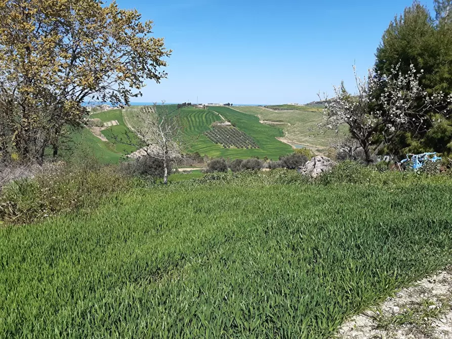 Immagine 9 di Villa in vendita  in contrada reille a Atri