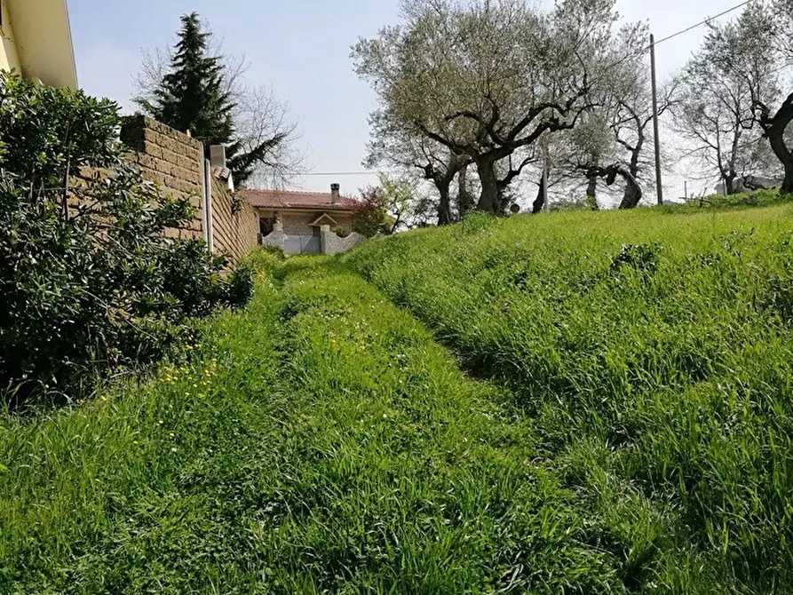 Immagine 7 di Terreno residenziale in vendita  in Contrada Collecchio a Pianella
