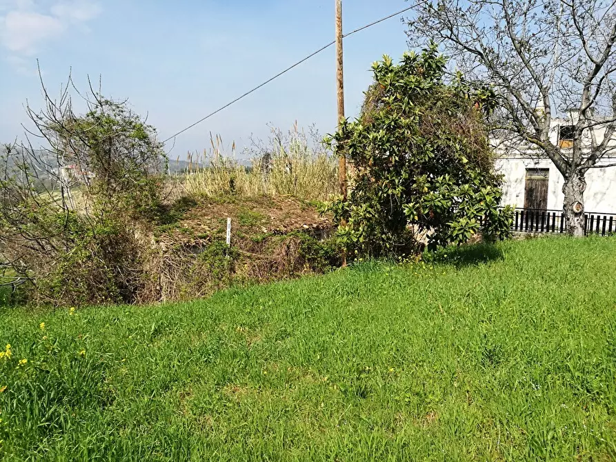 Immagine 8 di Terreno residenziale in vendita  in Contrada Collecchio a Pianella