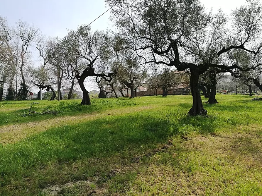 Immagine 13 di Terreno residenziale in vendita  in Contrada Collecchio a Pianella