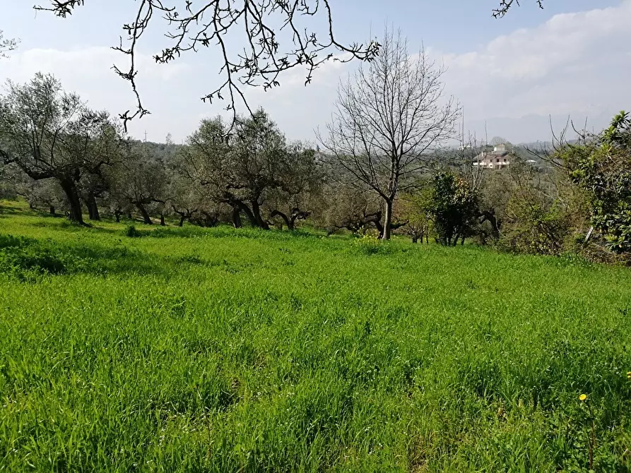 Immagine 10 di Terreno residenziale in vendita  in Contrada Collecchio a Pianella