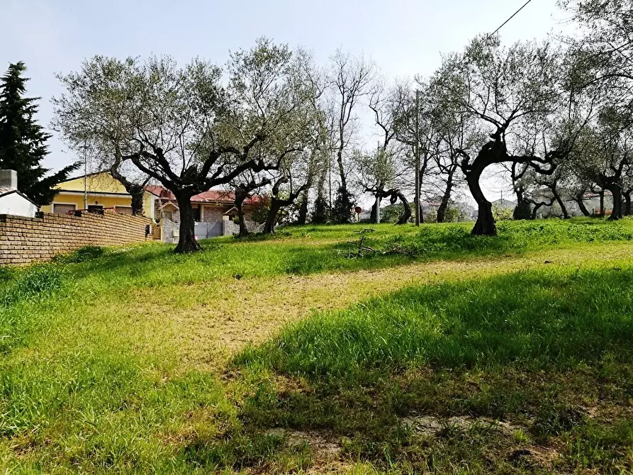 Immagine 12 di Terreno residenziale in vendita  in Contrada Collecchio a Pianella