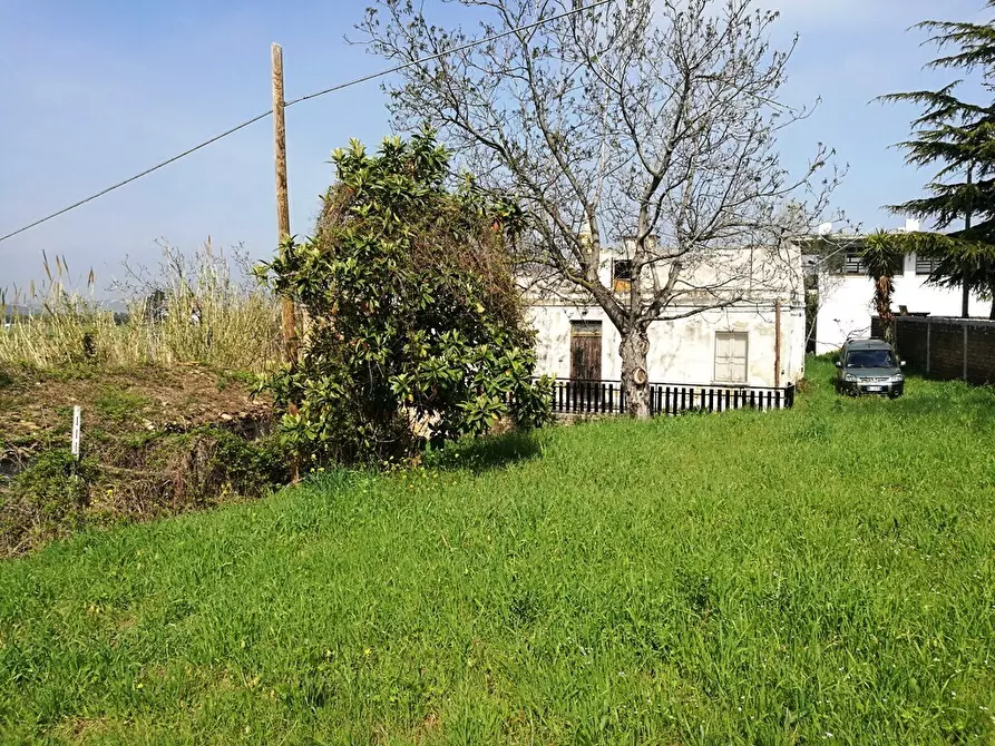 Immagine 3 di Terreno residenziale in vendita  in Contrada Collecchio a Pianella