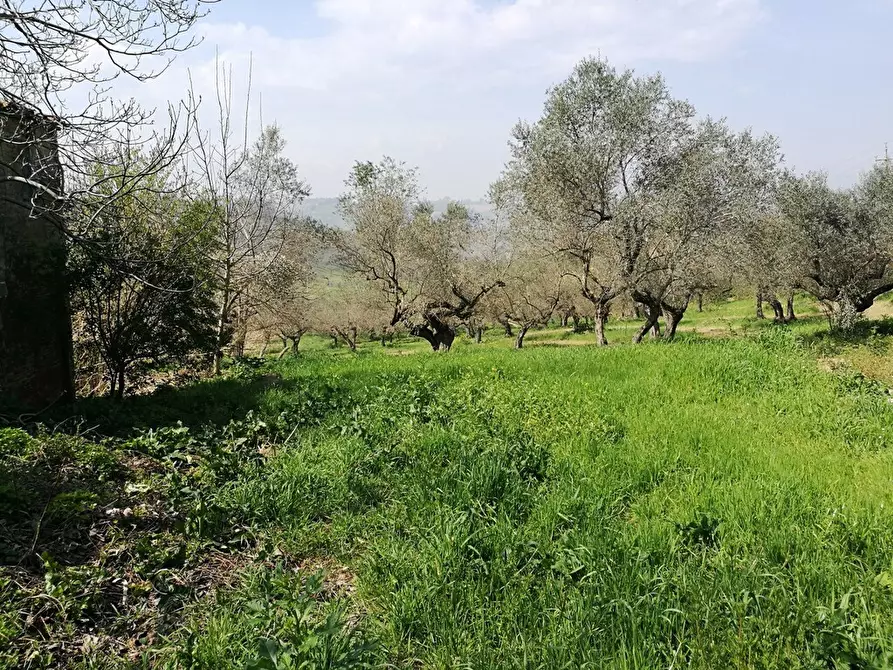 Immagine 6 di Terreno residenziale in vendita  in Contrada Collecchio a Pianella