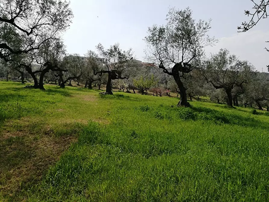 Immagine 11 di Terreno residenziale in vendita  in Contrada Collecchio a Pianella