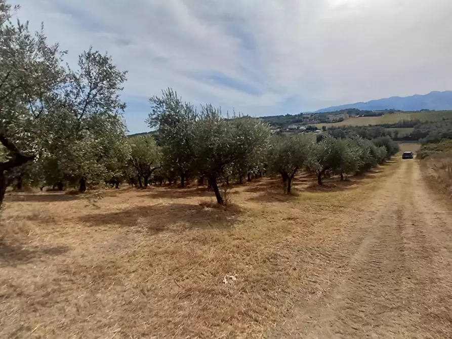Immagine 9 di Palazzo in vendita  in Strada Vicinale Raganella a Abbateggio