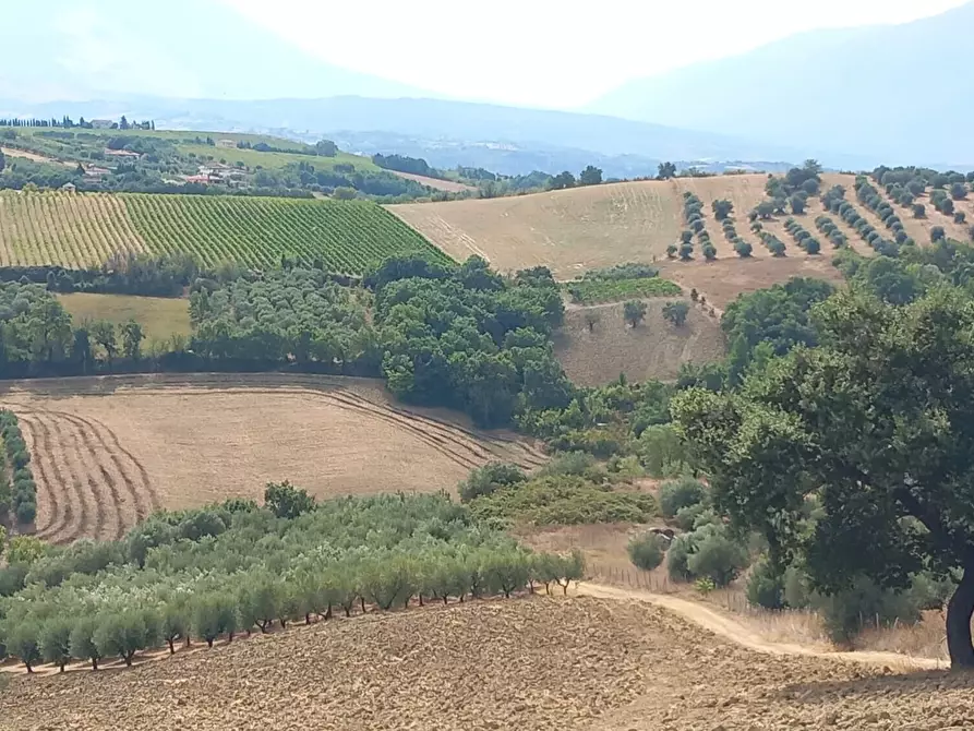 Immagine 1 di Palazzo in vendita  in Strada Vicinale Raganella a Abbateggio