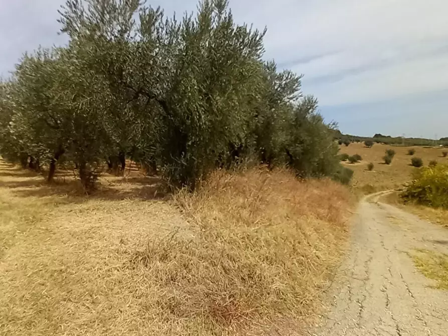 Immagine 4 di Palazzo in vendita  in Strada Vicinale Raganella a Abbateggio