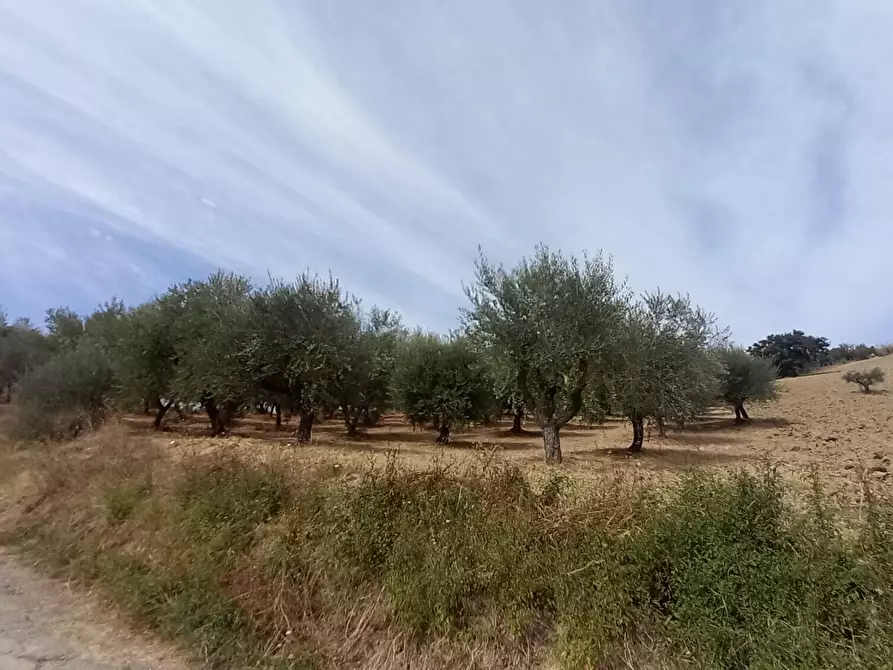 Immagine 5 di Palazzo in vendita  in Strada Vicinale Raganella a Abbateggio