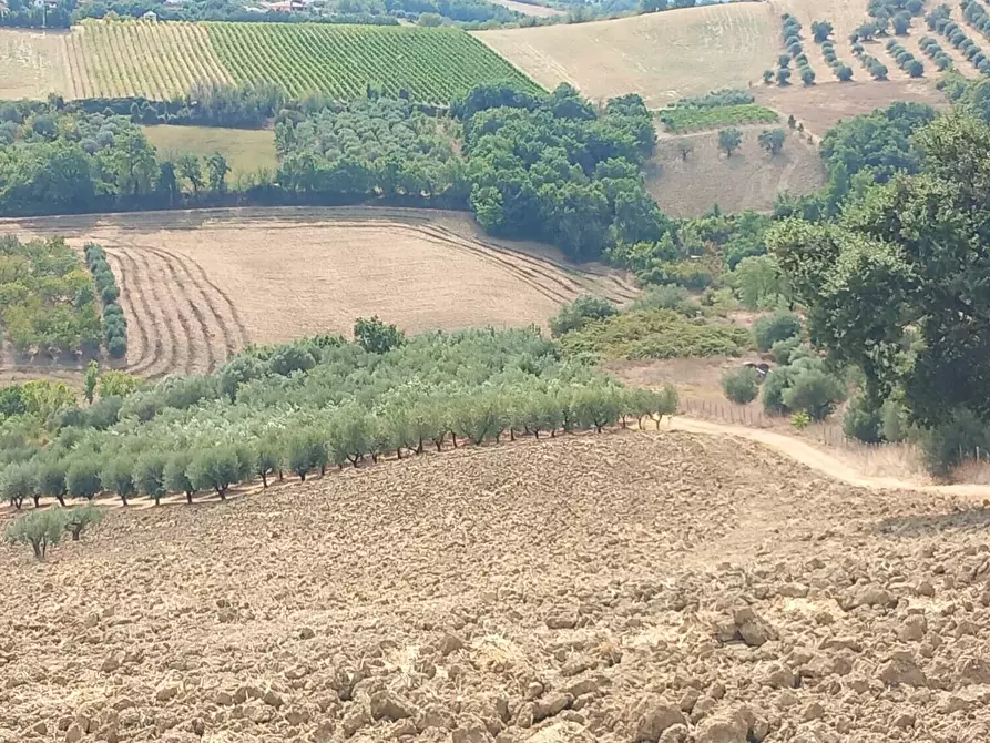 Immagine 2 di Palazzo in vendita  in Strada Vicinale Raganella a Abbateggio