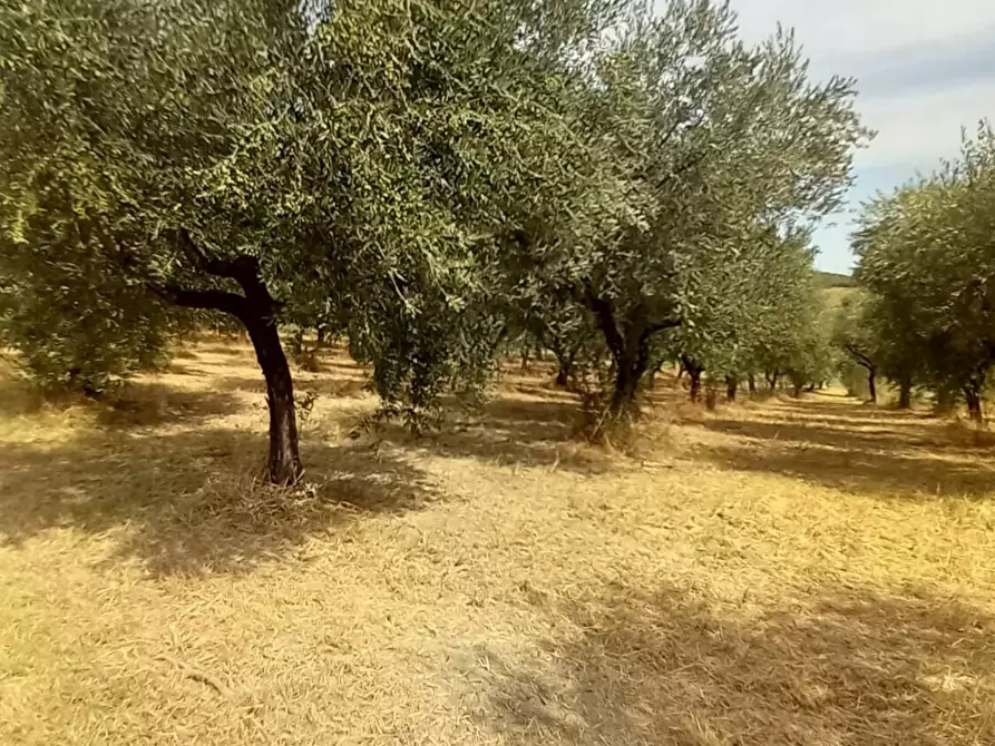 Immagine 3 di Palazzo in vendita  in Strada Vicinale Raganella a Abbateggio